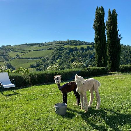 Villa Rignana Chianti Estate, Pool, Tennis,Cook Greve in Chianti Eksteriør bilde